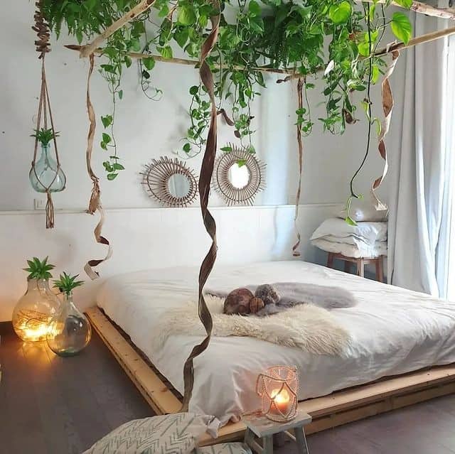 Canopy Bed