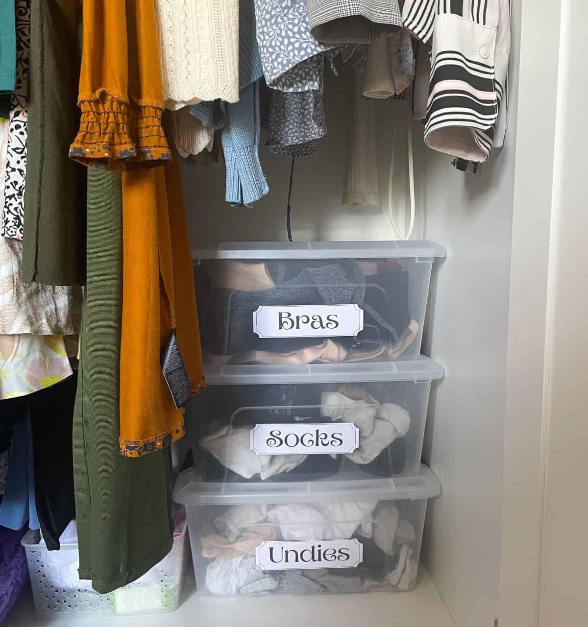 Plastic Boxes with Labels for Wardrobe