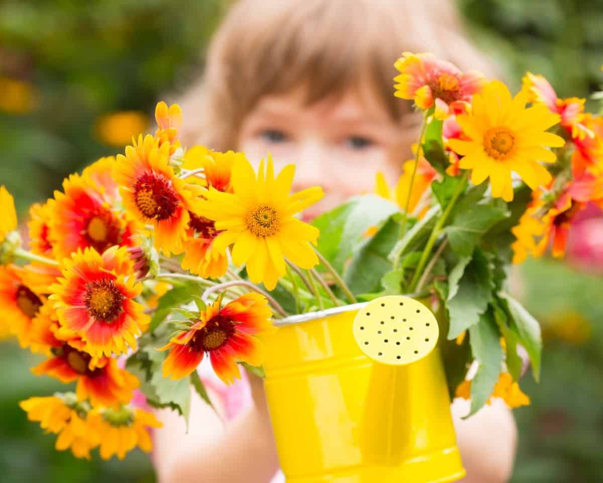 Flower Bouquet