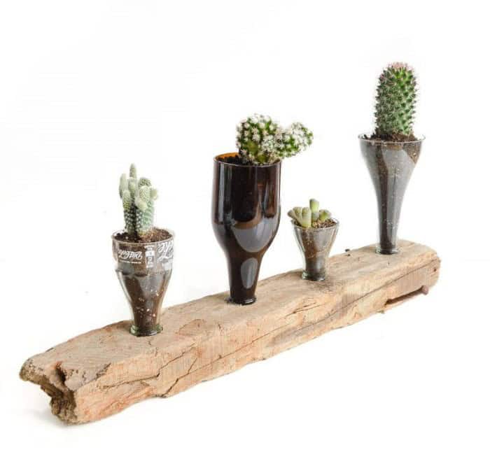 Upcycled Cacti Planter