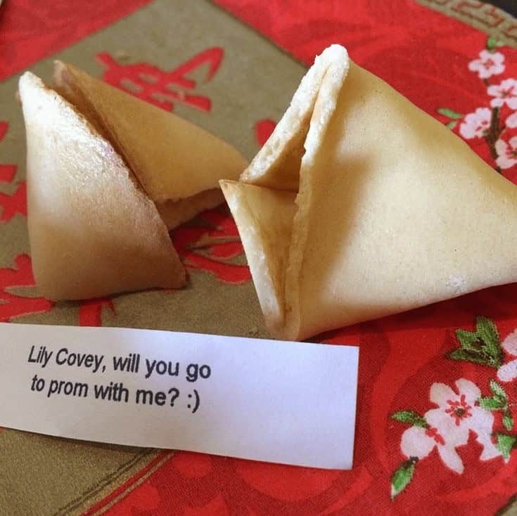 FORTUNE COOKIE