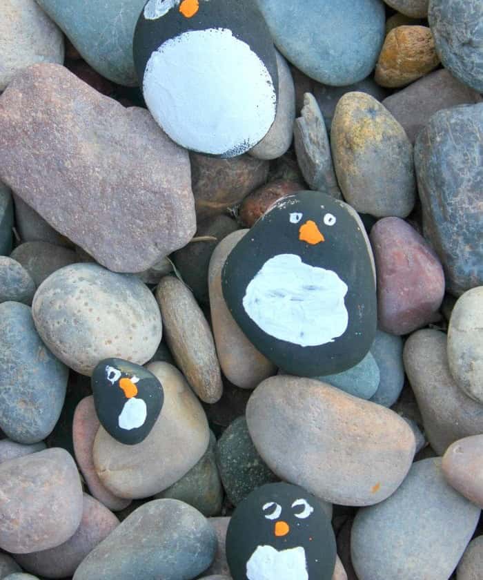 Penguin Rock Pets