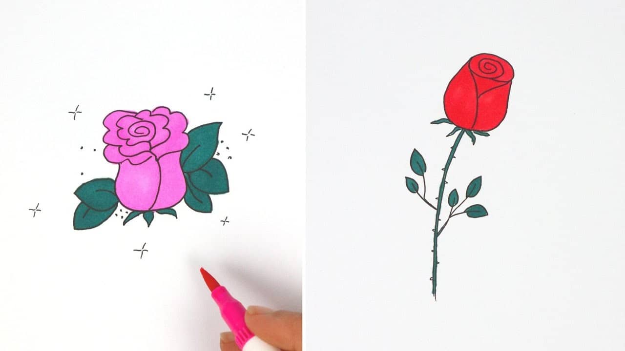 17 Easy Rose Drawing Ideas