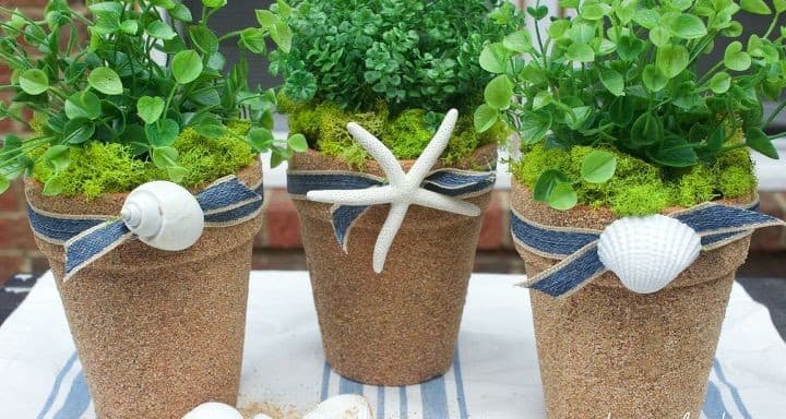 Coastal Terra Cotta Pots