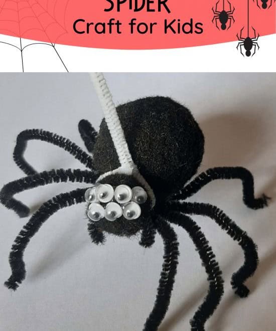 Pet Spider Learning Craft