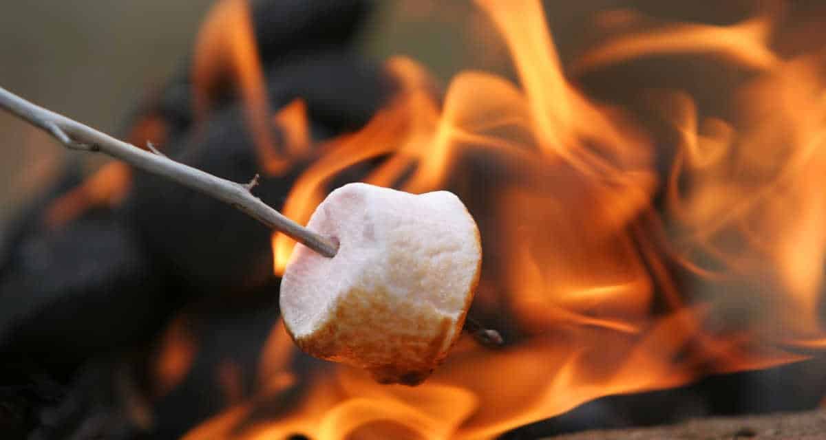 Toast Marshmallows