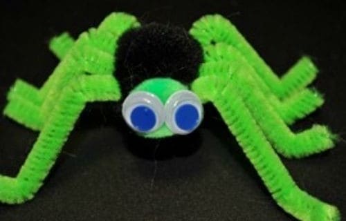 Pipe Cleaner Spiders