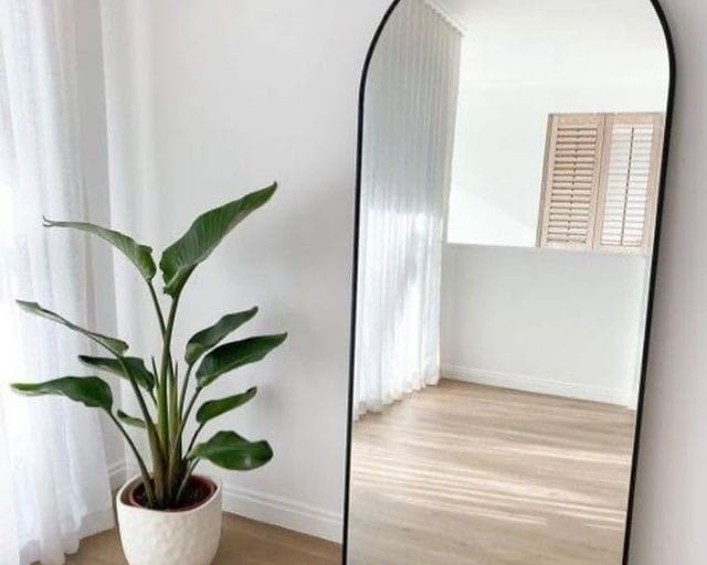 Plant and Mirror Combination