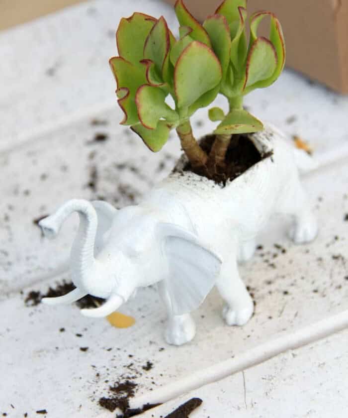 Quirky Dollar Store Planters