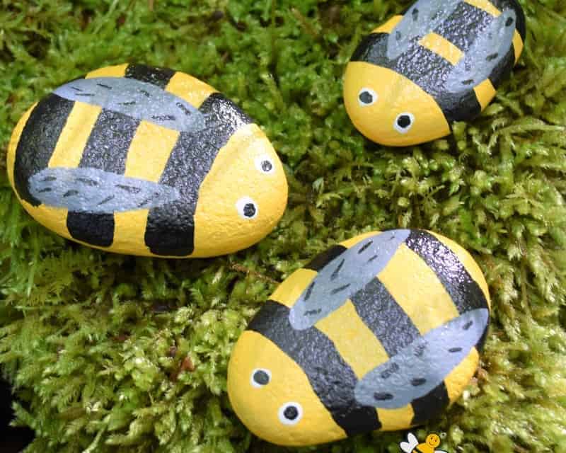 DIY Bee Rock Pets