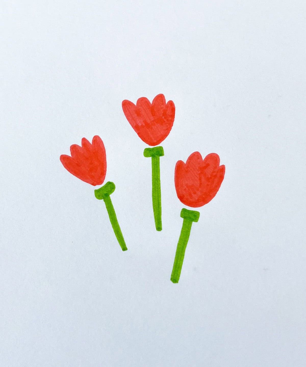 Tulips