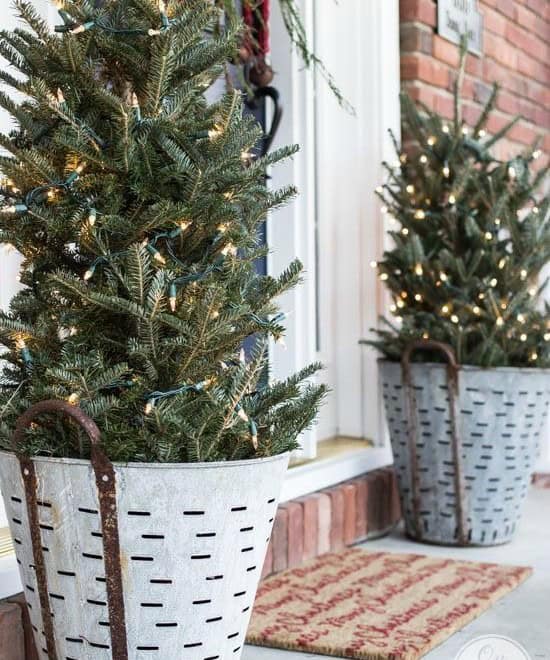 Christmas Planters