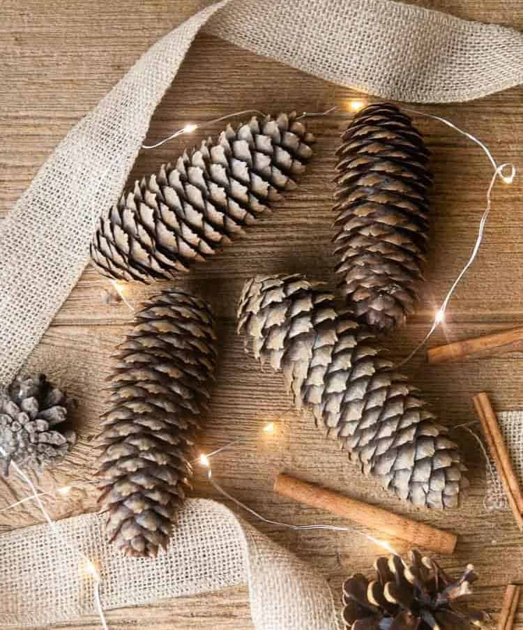 Cinnamon Pine Cones