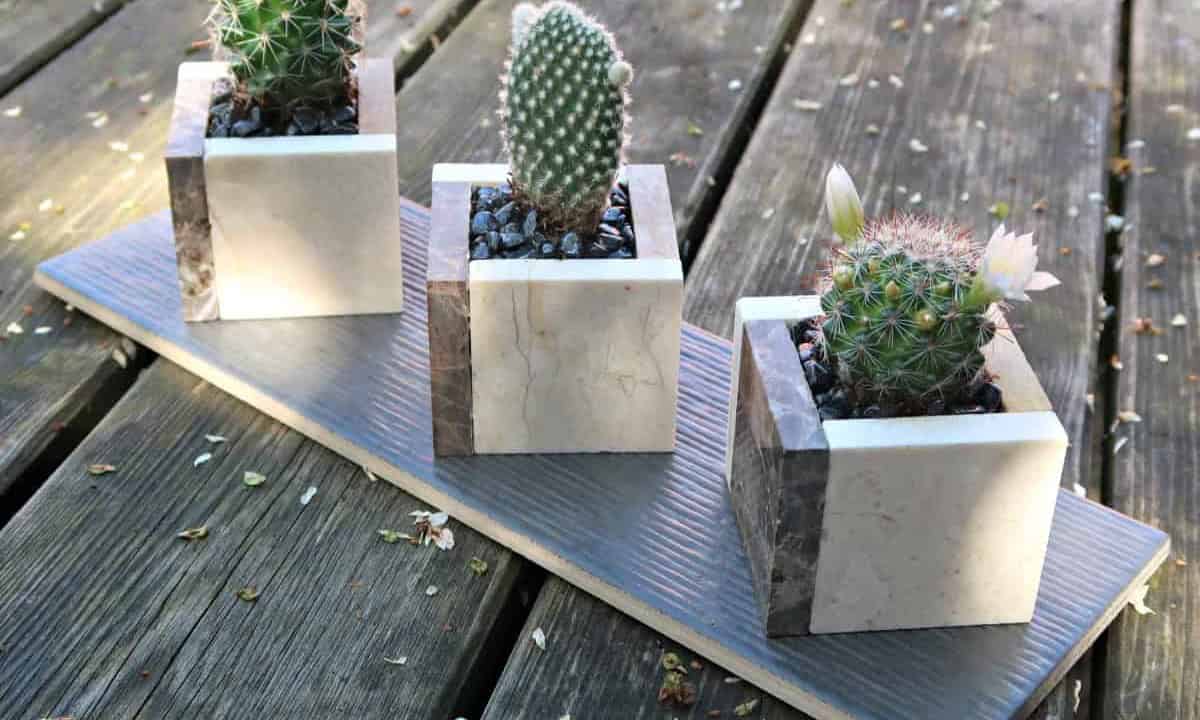 Indoor Ceramic Mini Planters