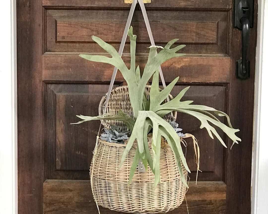 Wicker Front Door Décor